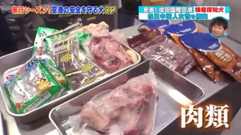 日本海关严查入境违禁品，肉制品及假名牌成重点目标
