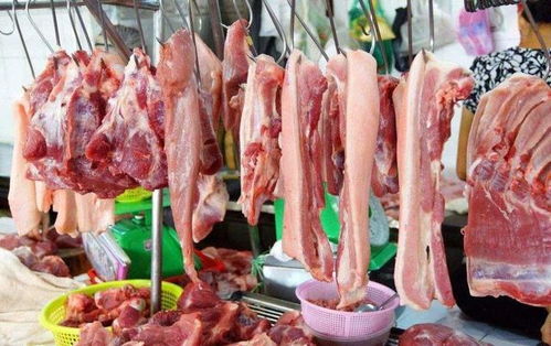 对华出口肉制品又出问题,巴西会成为下一个 澳大利亚 吗